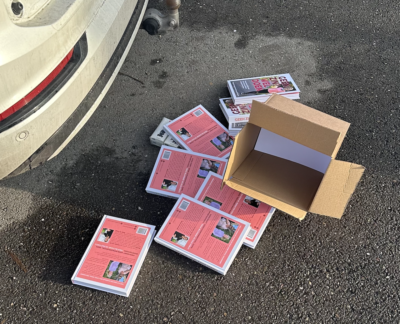UITVERKOCHT – Vallen en opstaan! Geen zin? Wel doen!